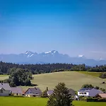 Sonnentau * Bad Wurzach