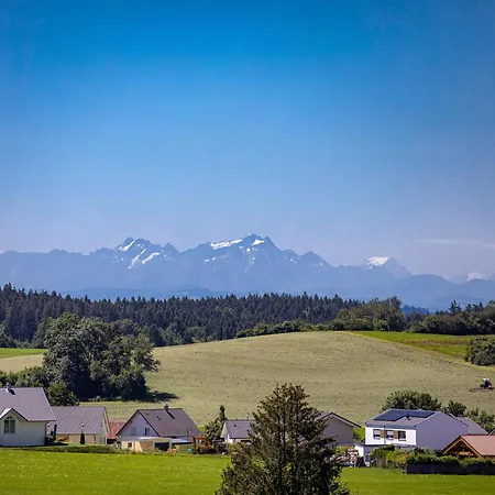 Sonnentau * Bad Wurzach
